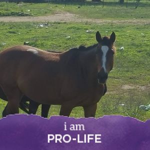 Meet your Posher, Brenda